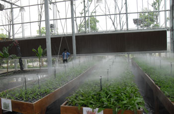 種植噴霧系統